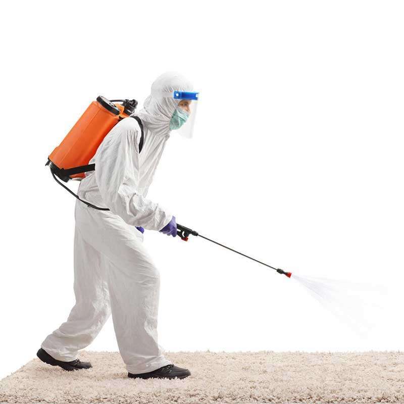 Fumigation Services Business Plan