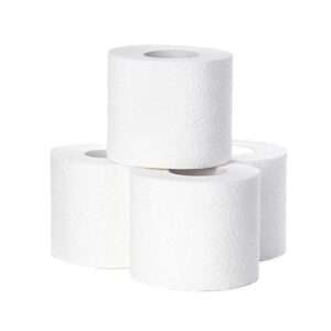 toilet paper manufacturing business plans free downloads